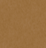 files/0/196.jpg